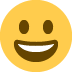 :grinning: grinning